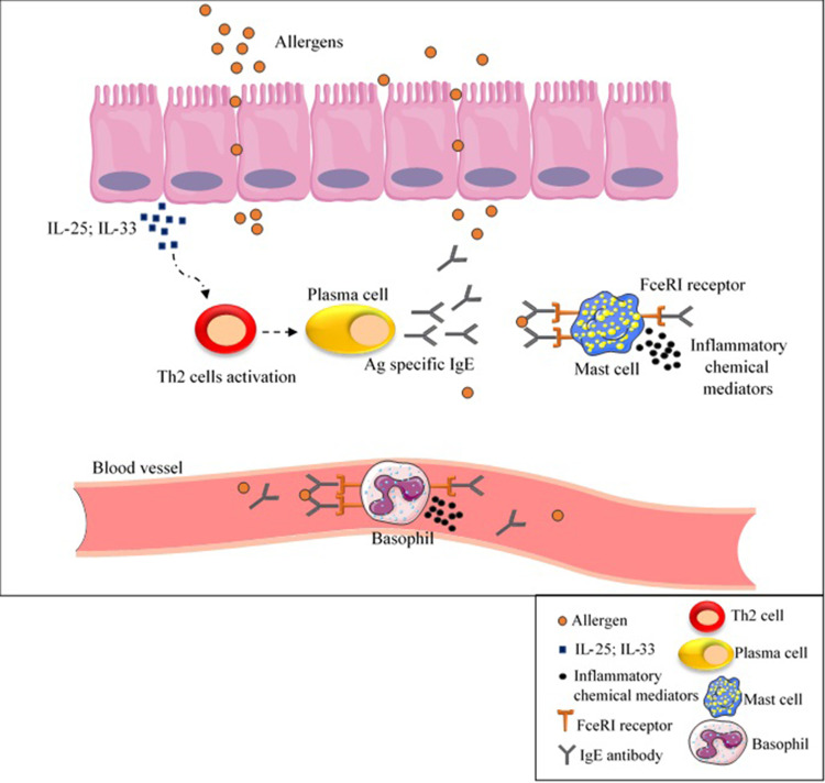 The Gluten Gene: Unlocking the Understanding of Gluten Sensitivity and Intolerance.