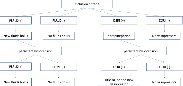 USER Protocol as a Guide to Resuscitation of the Patient with Septic Shock in the Emergency Department.