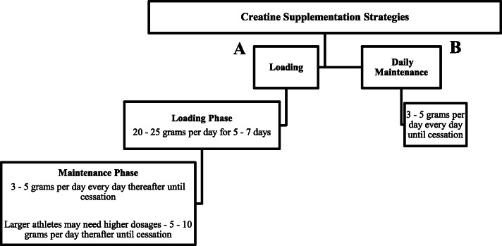 Common questions and misconceptions about creatine supplementation: what does the scientific evidence really show?