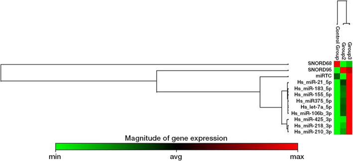 Comparison of miRNA expressions among benign, premalignant and malignant lesions of the larynx: could they be transformation biomarkers?