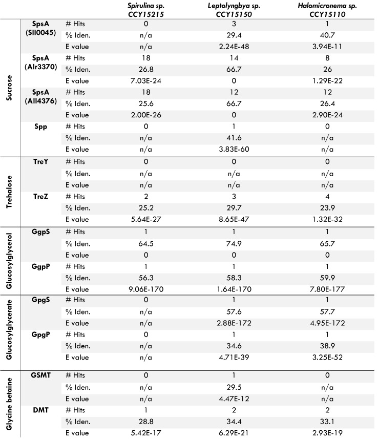 Draft genome sequences of three filamentous cyanobacteria isolated from brackish habitats.