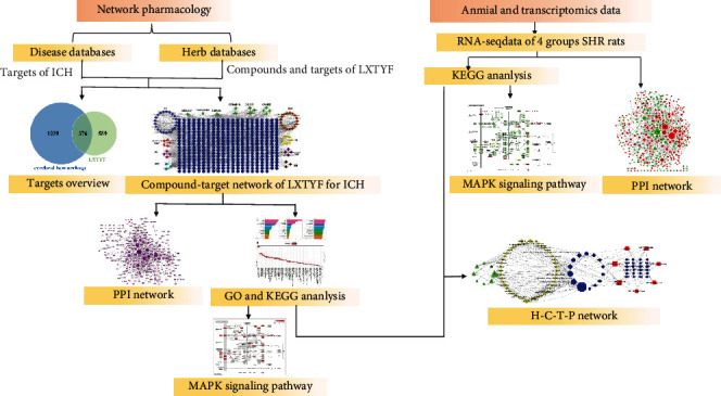 Synergistic Network Pharmacology for Traditional Chinese Medicine Liangxue Tongyu Formula in Acute Intracerebral Hemorrhagic Stroke.