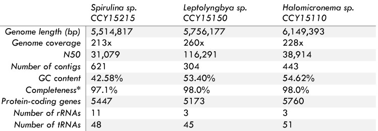 Draft genome sequences of three filamentous cyanobacteria isolated from brackish habitats.