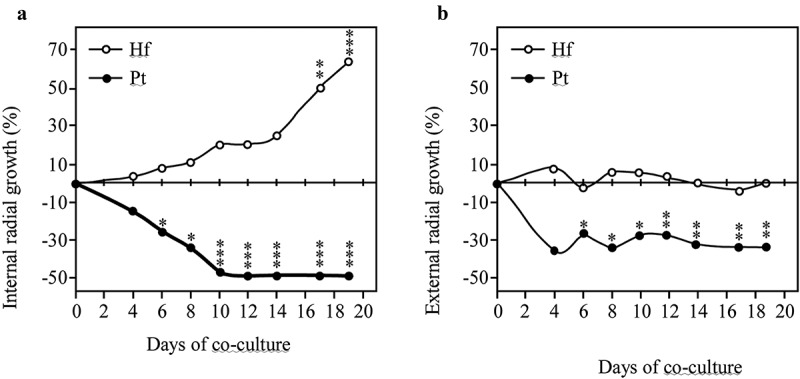 <i>In vitro</i> interactions between the ectomycorrhizal <i>Pisolithus tinctorius</i> and the saprotroph <i>Hypholoma fasciculare</i> fungi: morphological aspects and volatile production.