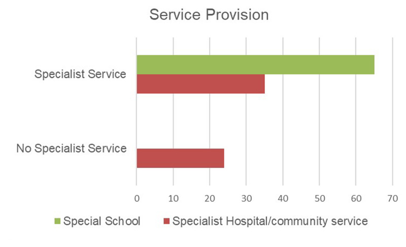 Eye Care for Children in Special Schools: An Audit of Provision.