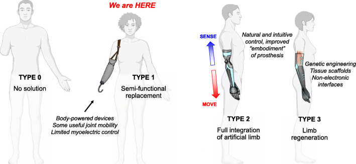 Cut wires: The Electrophysiology of Regenerated Tissue.