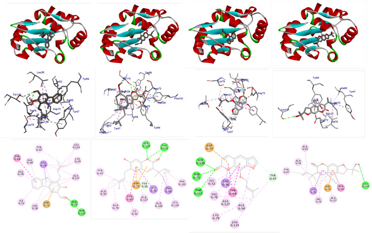 In silico Molecular Docking, DFT Analysis and ADMET Studies of Carbazole Alkaloid and Coumarins from Roots of <i>Clausena anisata</i>: A Potent Inhibitor for Quorum Sensing.