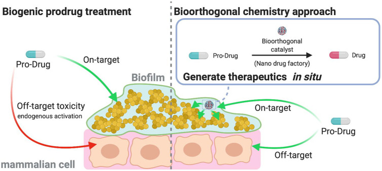 <i>In situ</i> Generation of Antibiotics using Bioorthogonal "Nanofactories".