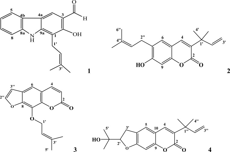 In silico Molecular Docking, DFT Analysis and ADMET Studies of Carbazole Alkaloid and Coumarins from Roots of <i>Clausena anisata</i>: A Potent Inhibitor for Quorum Sensing.