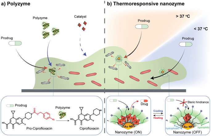 <i>In situ</i> Generation of Antibiotics using Bioorthogonal "Nanofactories".