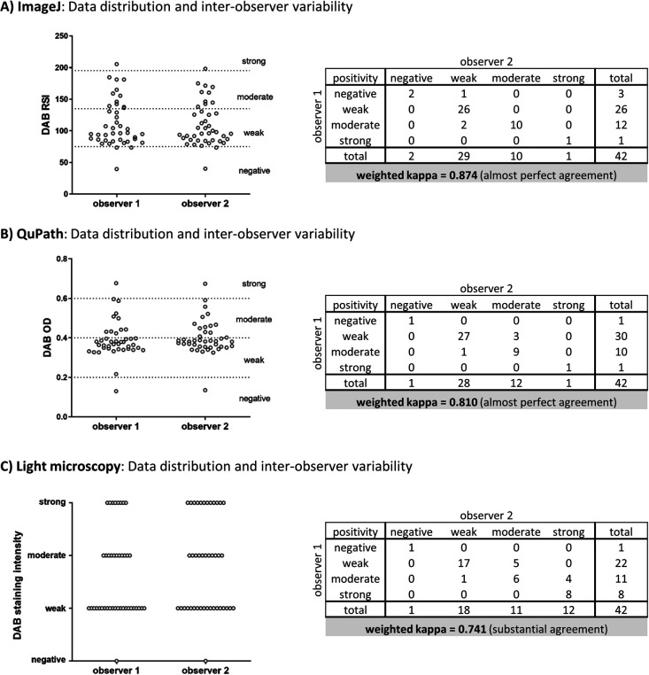 Comparative Analysis of Immunohistochemical Staining Intensity Determined by Light Microscopy, ImageJ and QuPath in Placental Hofbauer Cells.