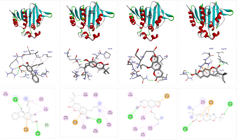 In silico Molecular Docking, DFT Analysis and ADMET Studies of Carbazole Alkaloid and Coumarins from Roots of <i>Clausena anisata</i>: A Potent Inhibitor for Quorum Sensing.