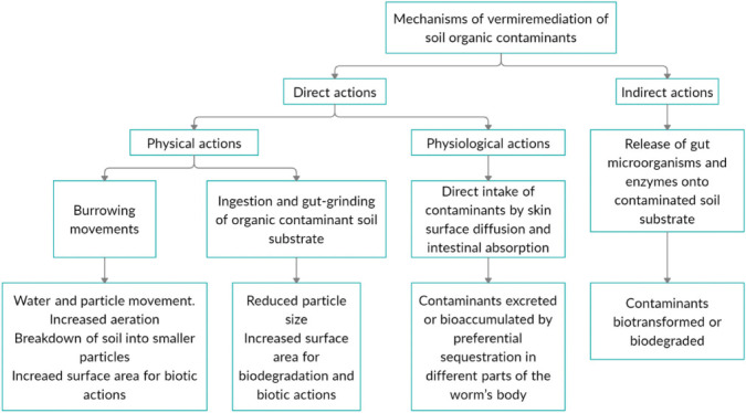 Efficacy of Vermiremediation to Remove Contaminants from Soil.