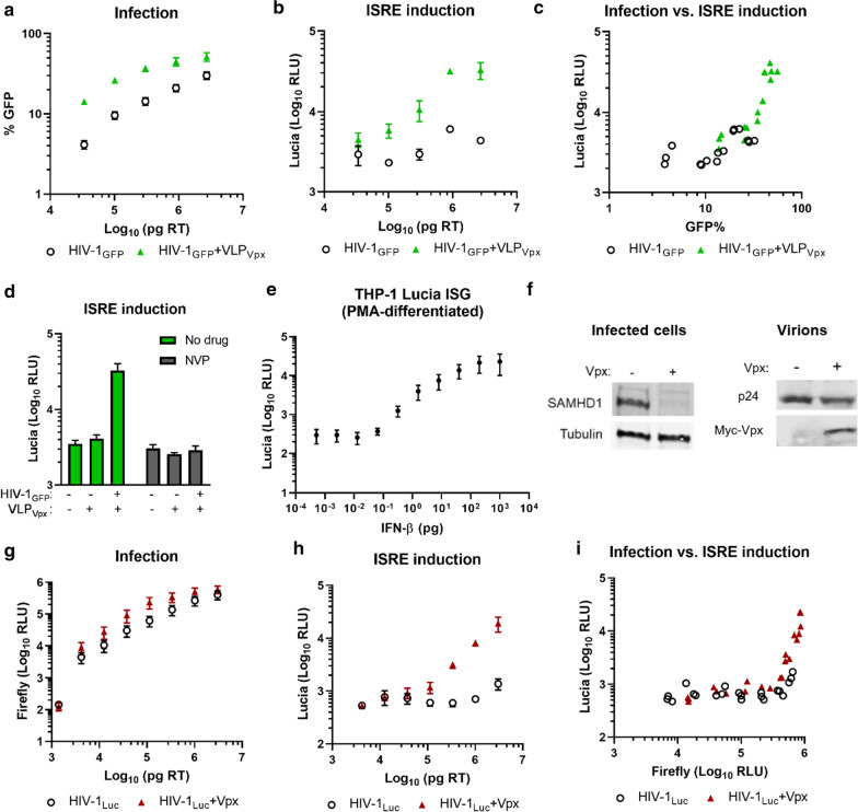 Vpx enhances innate immune responses independently of SAMHD1 during HIV-1 infection.