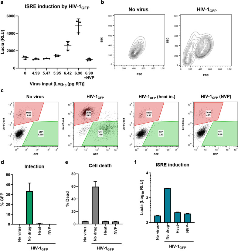 Vpx enhances innate immune responses independently of SAMHD1 during HIV-1 infection.