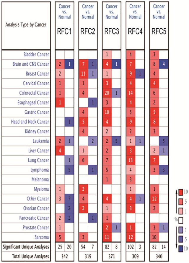 Exploration of Prognostic Biomarkers among Replication Factor C Family in the Hepatocellular Carcinoma.