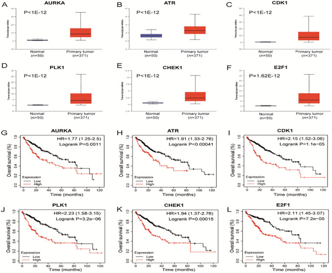 Exploration of Prognostic Biomarkers among Replication Factor C Family in the Hepatocellular Carcinoma.