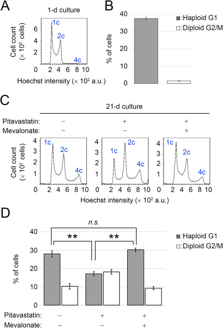 Mevalonate Pathway-mediated ER Homeostasis Is Required for Haploid Stability in Human Somatic Cells.