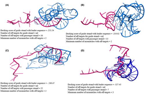 An in silico analysis of effective siRNAs against COVID-19 by targeting the leader sequence of SARS-CoV-2