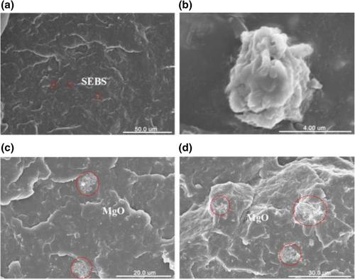 Integrated multifunctional properties of polypropylene composites by employing three-dimensional flower-like MgO with hierarchical surface morphology