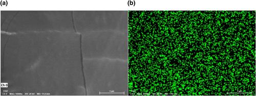 Enhanced electromechanical performance through chemistry graft copper phthalocyanine to siloxane-modified polyurethane and interpenetrate with siloxane silicon rubber as composite actuator material