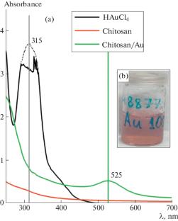 Principles of Gold Nanoparticles Stabilization with Chitosan in Carbonic Acid Solutions Under High CO2 Pressure