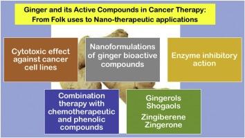 Ginger and its active compounds in cancer therapy: From folk uses to nano-therapeutic applications