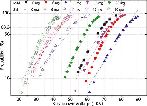 Dielectric performance of magnetic nanoparticles-based ester oil