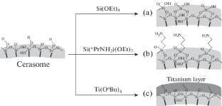 Vesicle Delivery Systems of Biologically Active Compounds: From Liposomes to Cerasomes