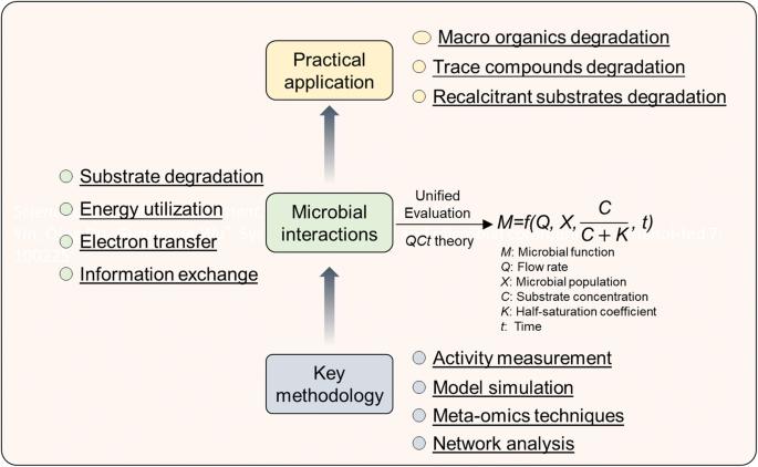 Microbial Interactions in Pollution Control Ecosystems