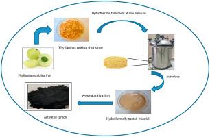 A novel approach to develop activated carbon by an ingenious hydrothermal treatment methodology using Phyllanthus emblica fruit stone