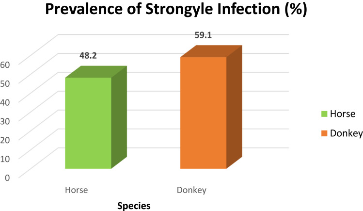 Study on Strongyle Infection of Donkeys and Horses in Hosaena District, Southern Ethiopia.