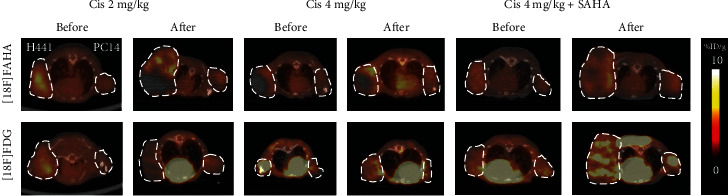 <i>In Vivo</i> Evaluation of the Combined Anticancer Effects of Cisplatin and SAHA in Nonsmall Cell Lung Carcinoma Using [<sup>18</sup>F]FAHA and [<sup>18</sup>F]FDG PET/CT Imaging.