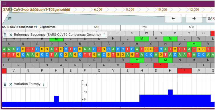 Novel perspectives for SARS-CoV-2 genome browsing.