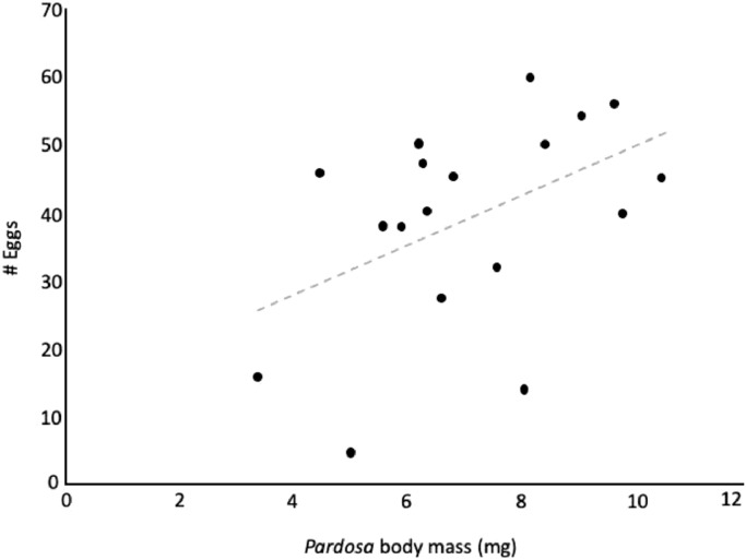 Prey identity but not prey quality affects spider performance