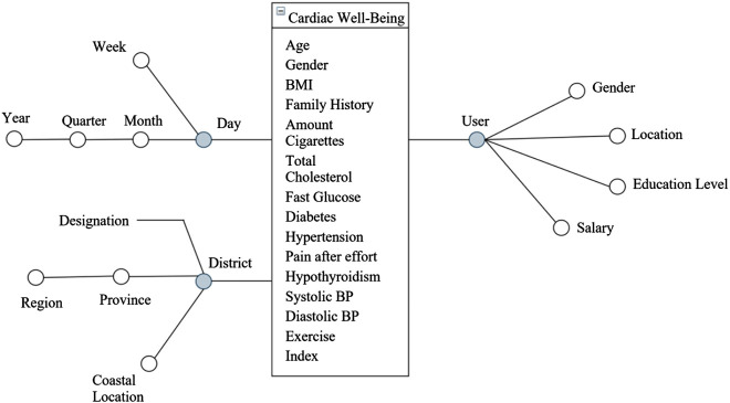 Cardiac well-being indexes: a decision support tool to monitor cardiovascular health.