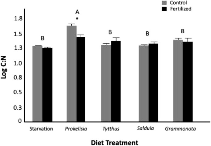 Prey identity but not prey quality affects spider performance