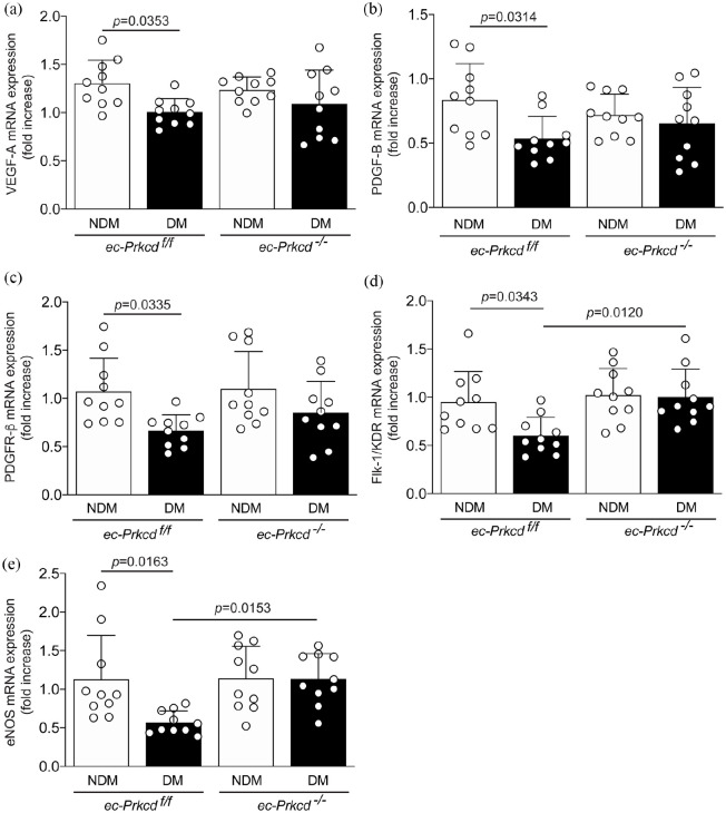 Endothelial deletion of PKCδ prevents VEGF inhibition and restores blood flow reperfusion in diabetic ischemic limb.