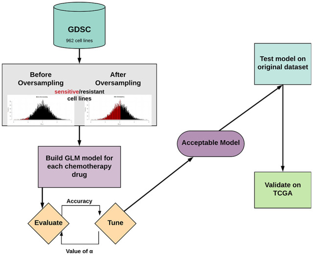 Pan-Cancer Transcriptional Models Predicting Chemosensitivity in Human Tumors.