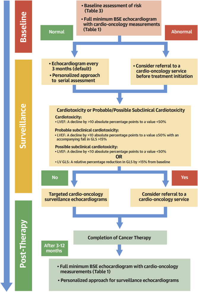 British Society for Echocardiography and British Cardio-Oncology Society guideline for transthoracic echocardiographic assessment of adult cancer patients receiving anthracyclines and/or trastuzumab.