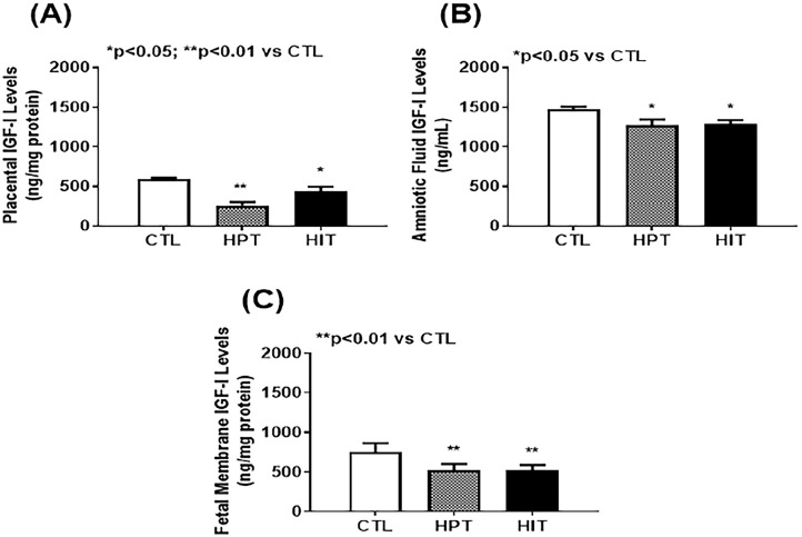 Growth factors in the fetus and pre-adolescent offspring of hyperglycemic rats.