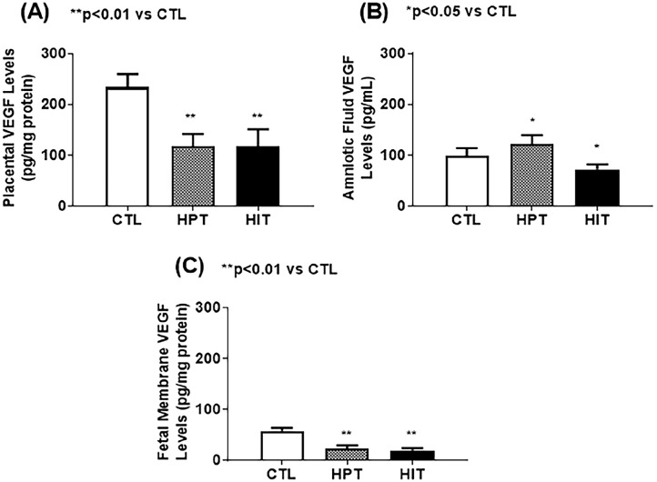 Growth factors in the fetus and pre-adolescent offspring of hyperglycemic rats.