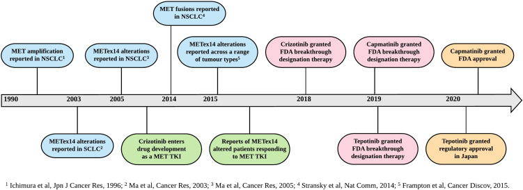 Novel Therapies for Metastatic Non-Small Cell Lung Cancer with MET Exon 14 Alterations: A Spotlight on Capmatinib.