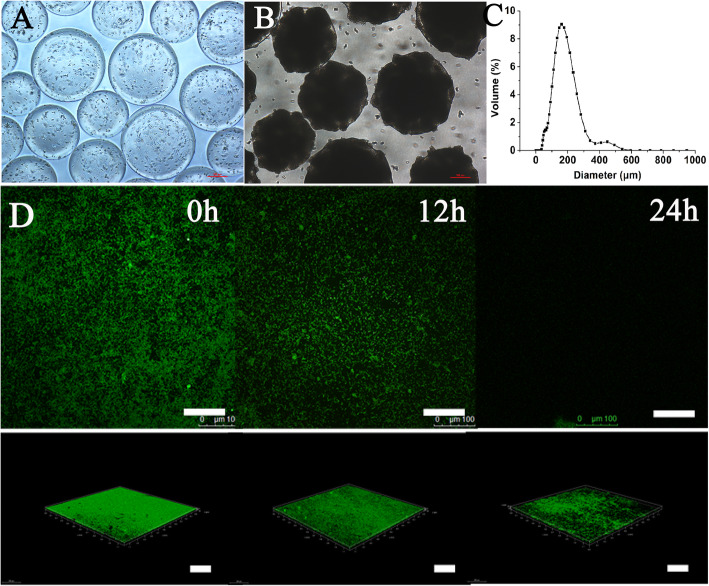 Label-free quantitative proteomic analysis of the inhibition effect of Lactobacillus rhamnosus GG on Escherichia coli biofilm formation in co-culture.