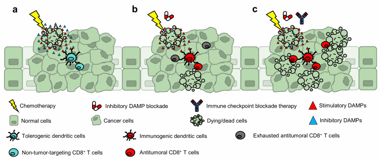 Inhibitory DAMPs in immunogenic cell death and its clinical implications.