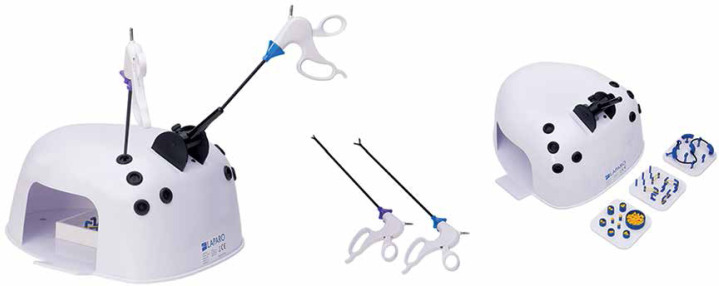 Assessment of training and selected factors on speed and quality of performing different tasks on the endoscopic simulator.
