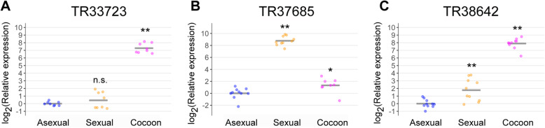 D-Tryptophan enhances the reproductive organ-specific expression of the amino acid transporter homolog Dr-SLC38A9 involved in the sexual induction of planarian Dugesia ryukyuensis.