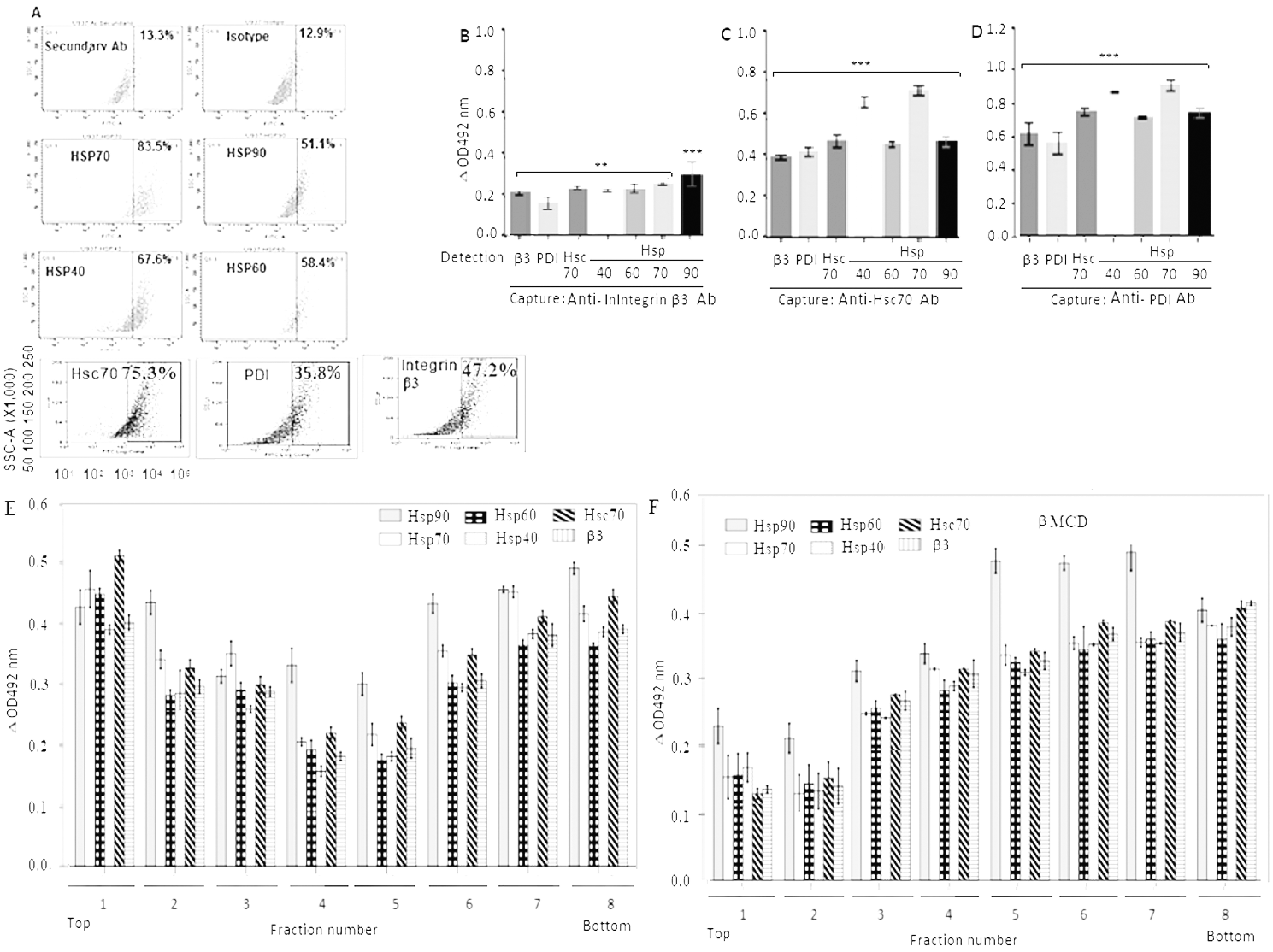 Role of heat-shock proteins in infection of human adenocarcinoma cell line MCF-7 by tumor-adapted rotavirus isolates.