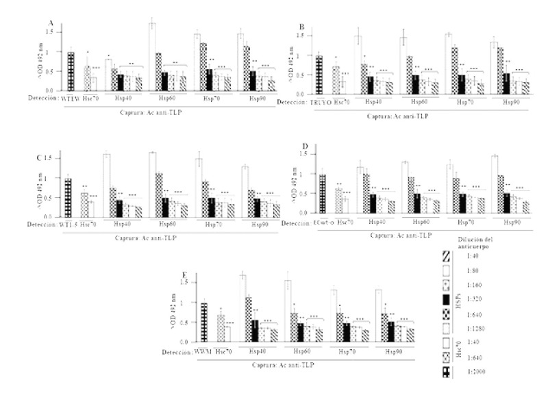 Role of heat-shock proteins in infection of human adenocarcinoma cell line MCF-7 by tumor-adapted rotavirus isolates.