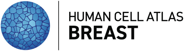 Behind the Scenes of the Human Breast Cell Atlas Project.